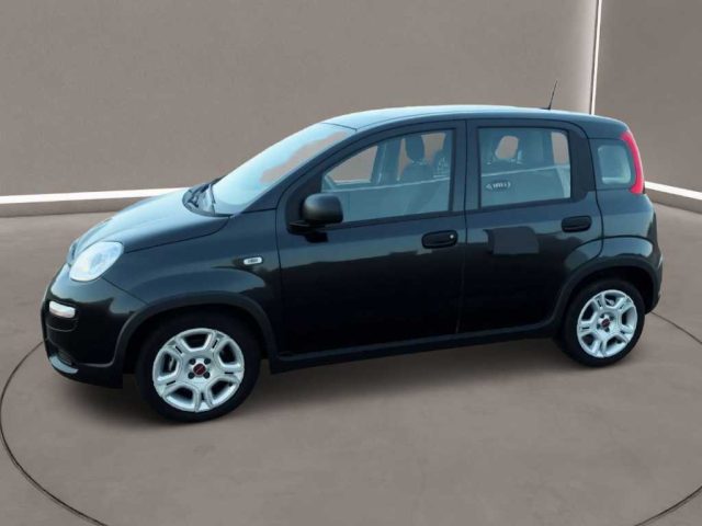 FIAT Panda usata, con Airbag Passeggero