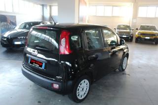 FIAT Panda usata, con Airbag Passeggero