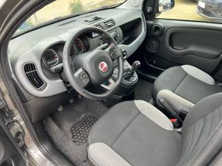 FIAT Panda usata 11