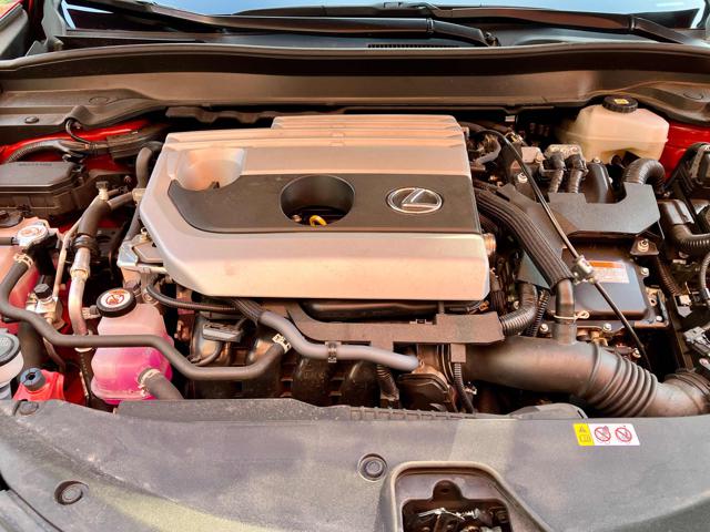 LEXUS UX 250h usata 23