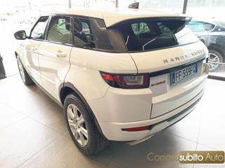 LAND ROVER Range Rover Evoque usata 5