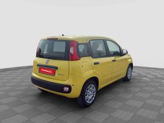 FIAT Panda usata 5