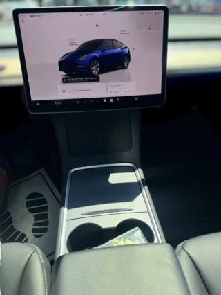 TESLA Model Y usata, con Cronologia tagliandi