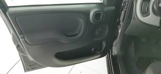 FIAT Panda usata 43