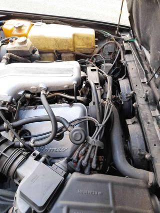 ALFA ROMEO GTV usata 39