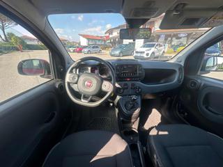 FIAT Panda Cross usata, con Servosterzo
