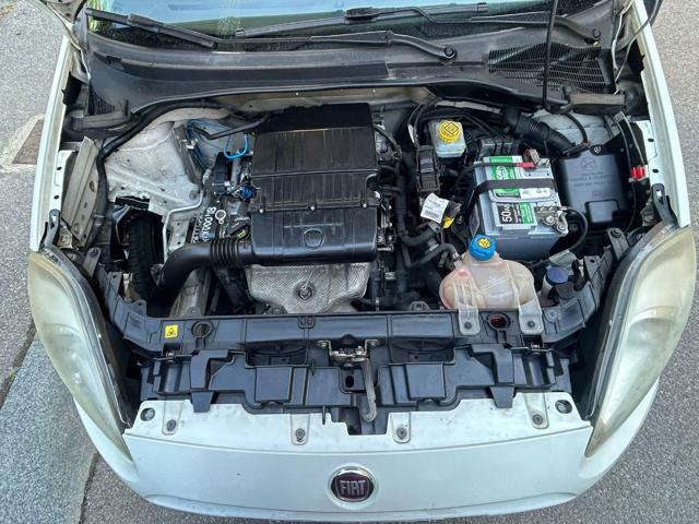 FIAT Punto usata 19