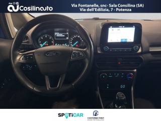 FORD EcoSport usata, con Cruise Control
