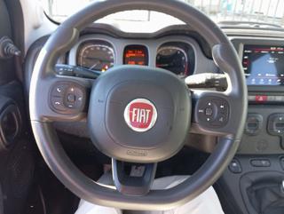 FIAT Panda Cross usata, con Climatizzatore