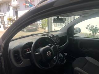FIAT Panda usata, con Airbag testa