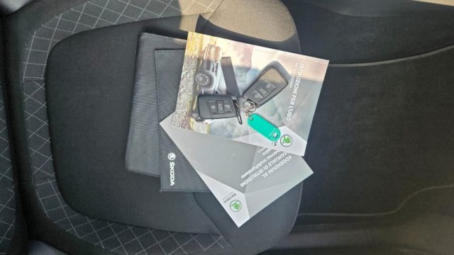 SKODA Kodiaq usata, con Climatizzatore