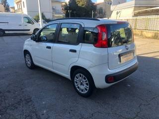 FIAT Panda usata, con Chiusura centralizzata