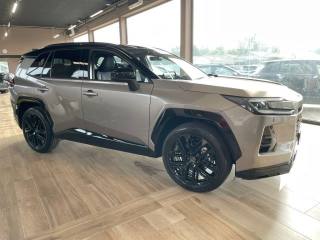 TOYOTA RAV 4 usata, con Cerchi in lega