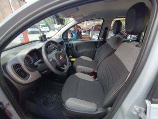 FIAT Panda usata, con Vetri oscurati
