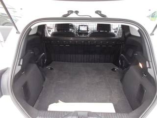FORD Fiesta usata, con Filtro antiparticolato