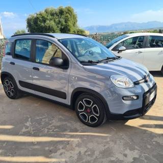 FIAT Panda usata, con Airbag Passeggero