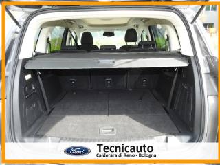 FORD S-Max usata, con Fendinebbia