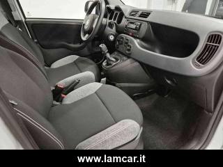 FIAT Panda usata, con Controllo vocale