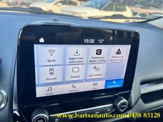 FORD EcoSport usata, con Cruise Control