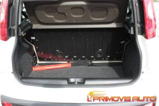 FIAT New Panda usata 15