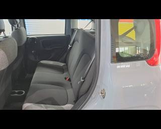 FIAT New Panda usata 16