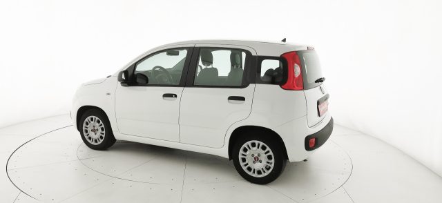 FIAT Panda usata 43