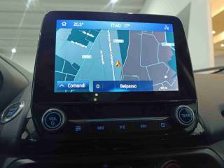 FORD EcoSport usata, con Bracciolo