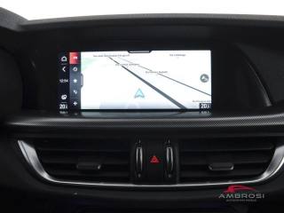 ALFA ROMEO Stelvio usata 14