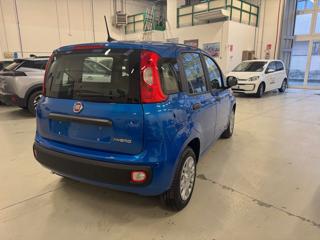 FIAT Panda usata, con Airbag Passeggero