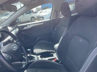 FORD Focus usata 12