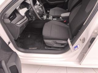 SKODA Octavia usata 61