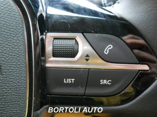 PEUGEOT 2008 usata, con Sensore di pioggia