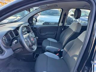 FIAT Panda usata, con Controllo trazione