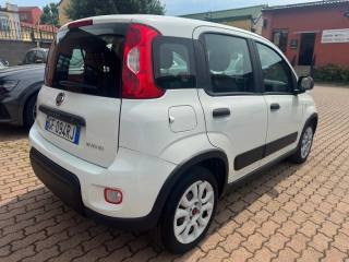 FIAT Panda usata, con Airbag Passeggero