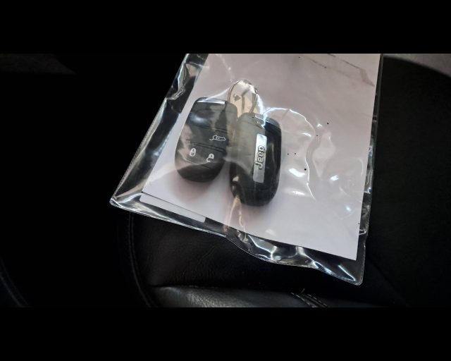 JEEP Renegade usata, con Luce d