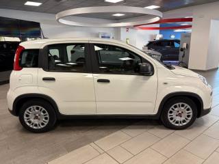 FIAT Panda usata, con USB