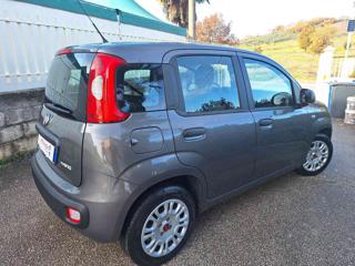 FIAT Panda usata, con Airbag Passeggero