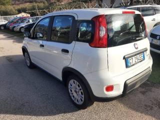 FIAT Panda usata, con Antifurto