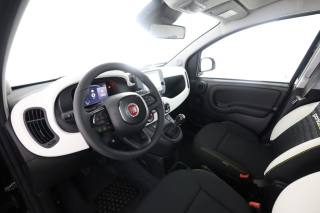 FIAT Panda usata 7