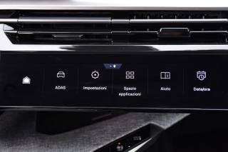 PEUGEOT 3008 usata, con Vetri oscurati