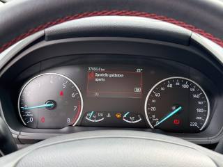 FORD EcoSport usata 14
