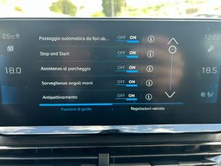 PEUGEOT 3008 usata, con ESP