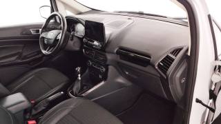 FORD EcoSport usata, con Vetri oscurati