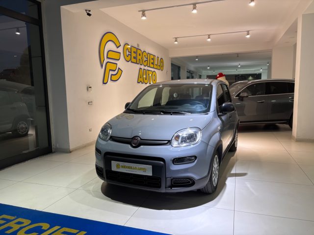 FIAT Panda usata, con Airbag