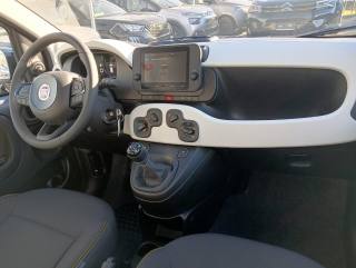 FIAT Panda usata, con Controllo vocale