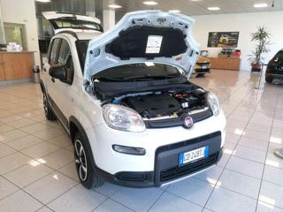 FIAT Panda usata 14