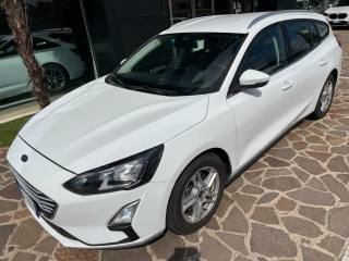 FORD Focus SW 1.5 EcoBlue 120cv Automatica Business Co-Pilot