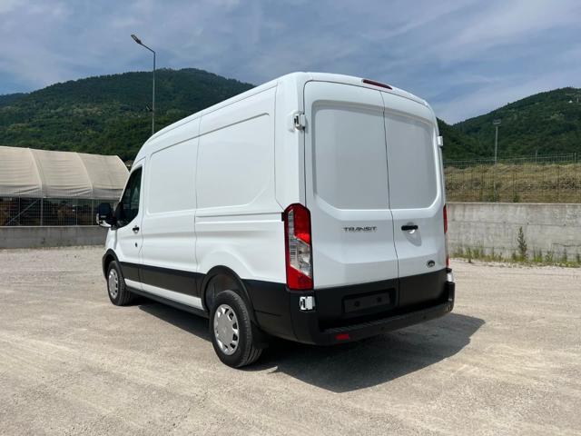 FORD Transit usata, con Cruise Control