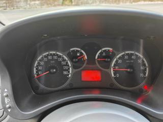 FIAT Panda usata, con Servosterzo