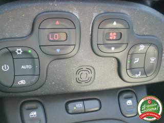 FIAT Panda Cross usata 17